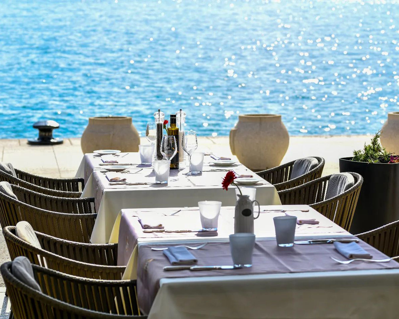 Divino Fresh Seafood